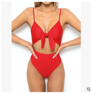 Sexy One-piece Bikini In Solid Color